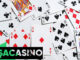 paşacasino giriş
